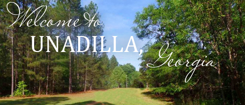 City of Unadilla, GA